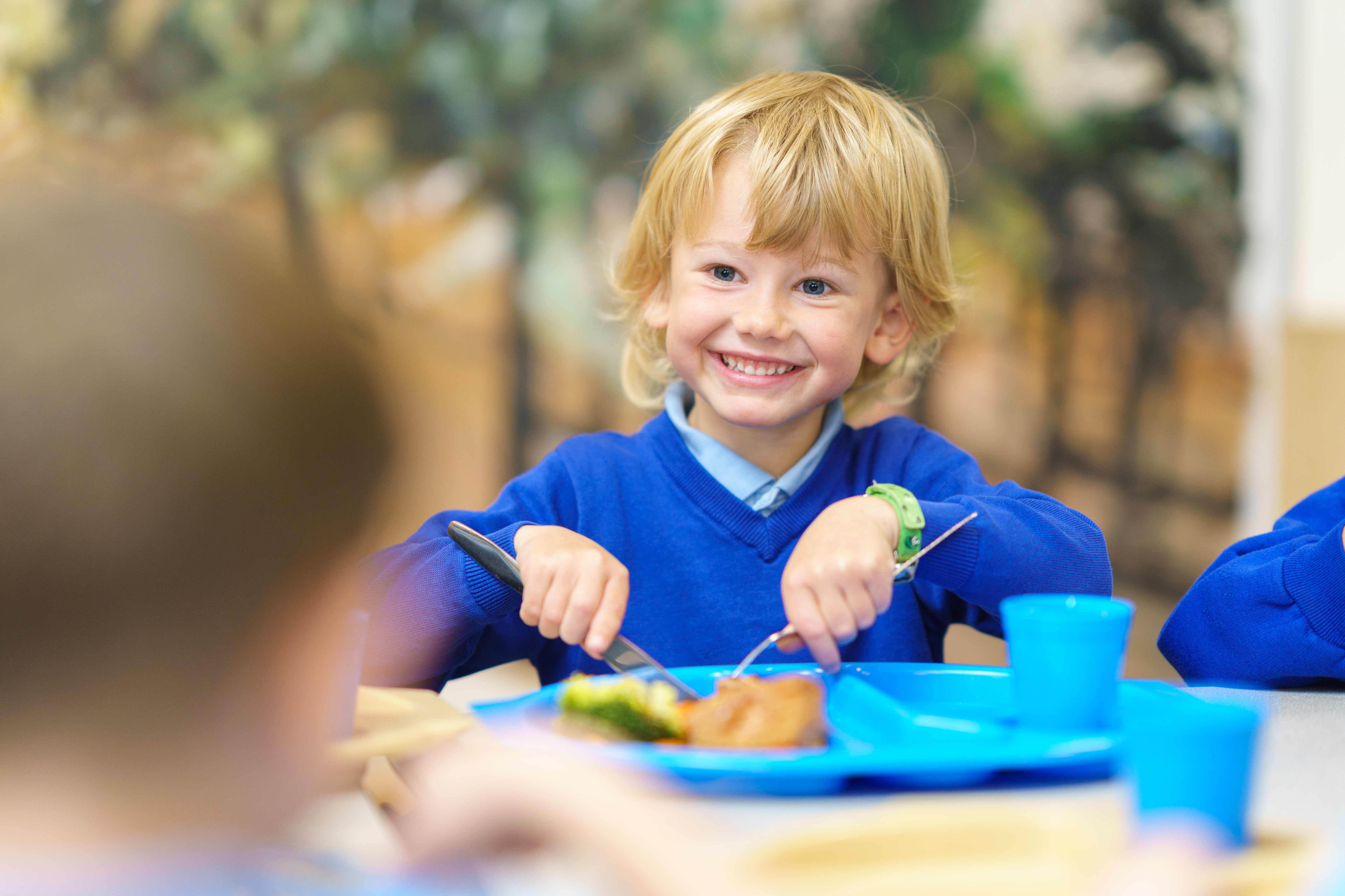 School dinners